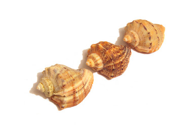 Similar image 10836800