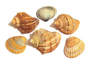 Similar image 10836803