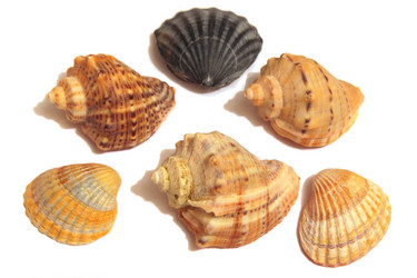 Similar image 10836804