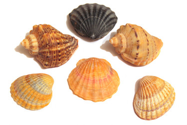 Similar image 10836805