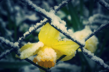 Similar image 10836928