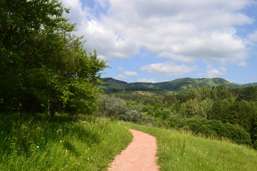 Similar image 10836929