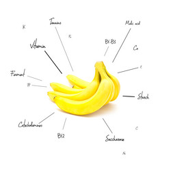 Similar image 10839856