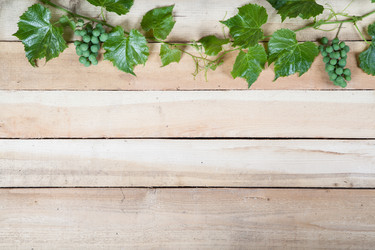 Similar image 10839908