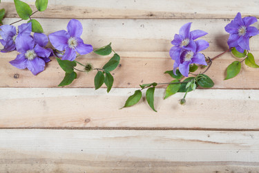 Similar image 10839909