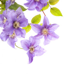 Similar image 10839911