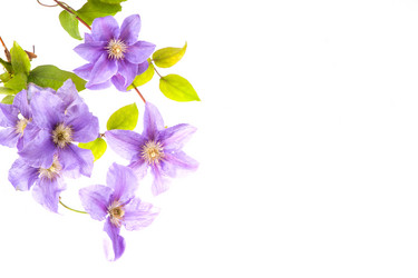 Similar image 10839912