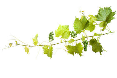 Similar image 10839914