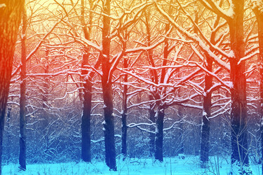 Similar image 10840481