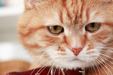 Similar image 10841000