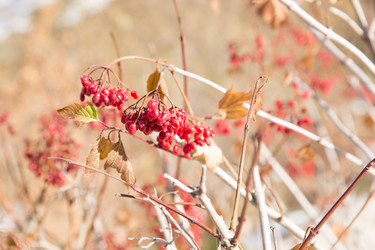 Similar image 10841040