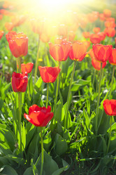 Similar image 10841121