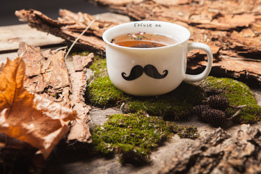 Similar image 10841165