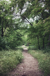 Similar image 10841394