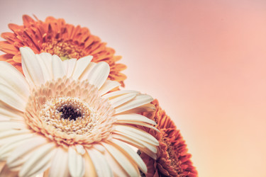 Similar image 10841433