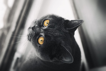 Similar image 10841439