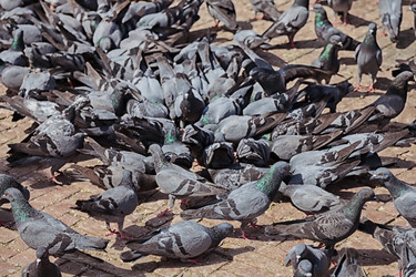 Similar image 10841446