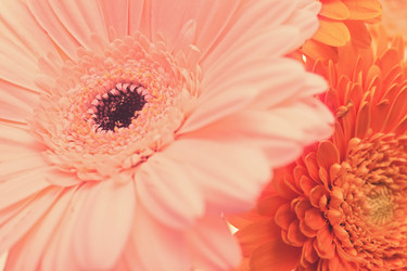 Similar image 10841480