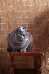 Similar image 10841496