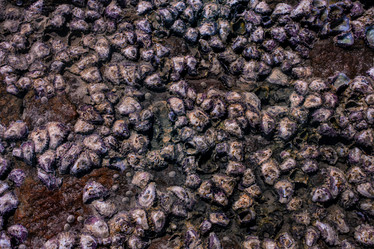 Similar image 10841516