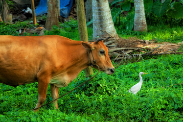 Similar image 10841517