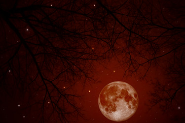 Similar image 10841551