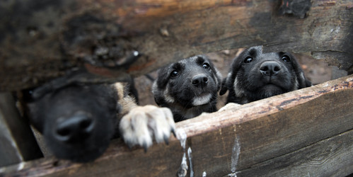 Similar image 10842401