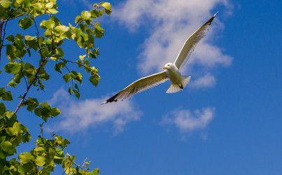 Similar image 10842406