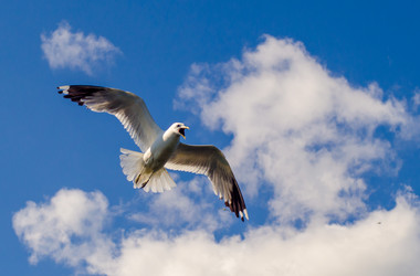 Similar image 10842407