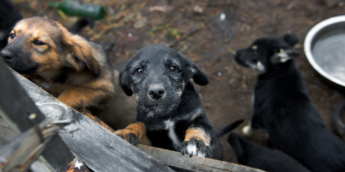 Similar image 10842414