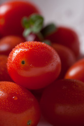 Similar image 10842719