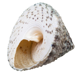 Similar image 10842954