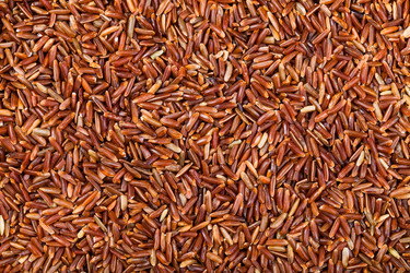 Similar image 10842990