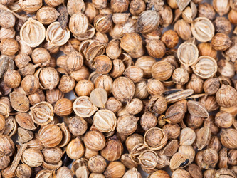 Similar image 10842999