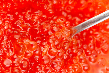 Similar image 10843091