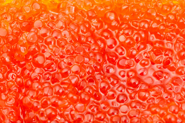 Similar image 10843092