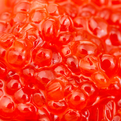 Similar image 10843093