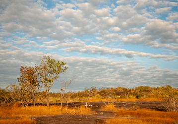 Similar image 10843367