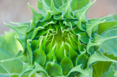 Similar image 10843372