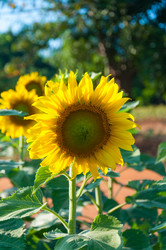 Similar image 10843373