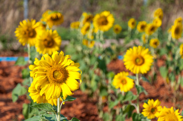 Similar image 10843375