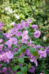 Similar image 10843382