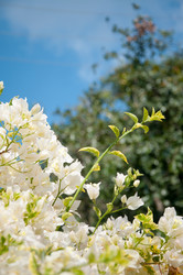 Similar image 10843383