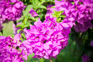 Similar image 10843384