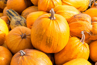 Similar image 10843396