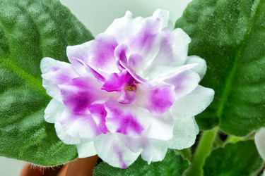 Similar image 10843398