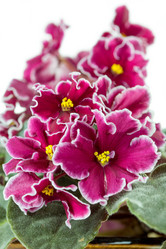 Similar image 10843399