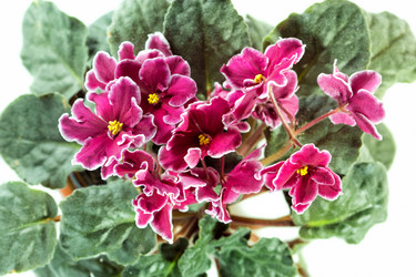 Similar image 10843411