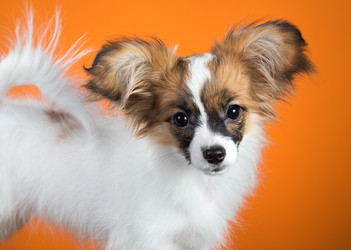 Similar image 10843422