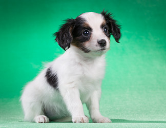 Similar image 10843429